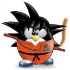 Avatar de l’utilisateur