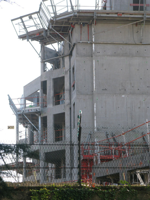 fin-janvier-2012 007.JPG
