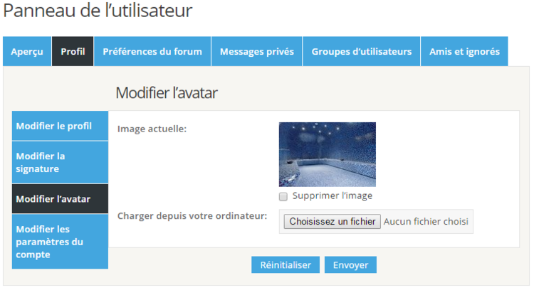 gestion avatar.png