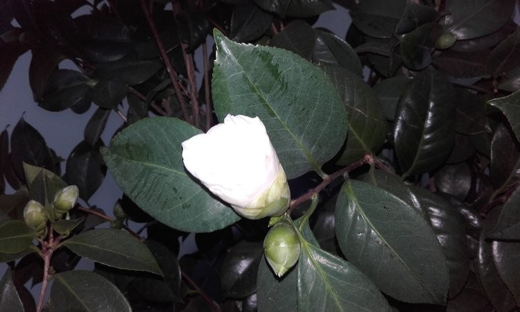 20151224_085403.jpg