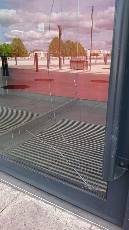 image.jpeg