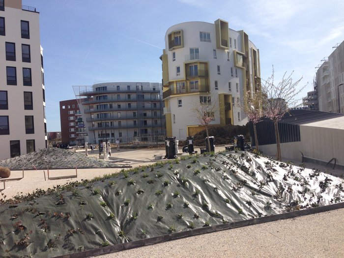 la cour intérieure avec les plantations et les "poubelles""