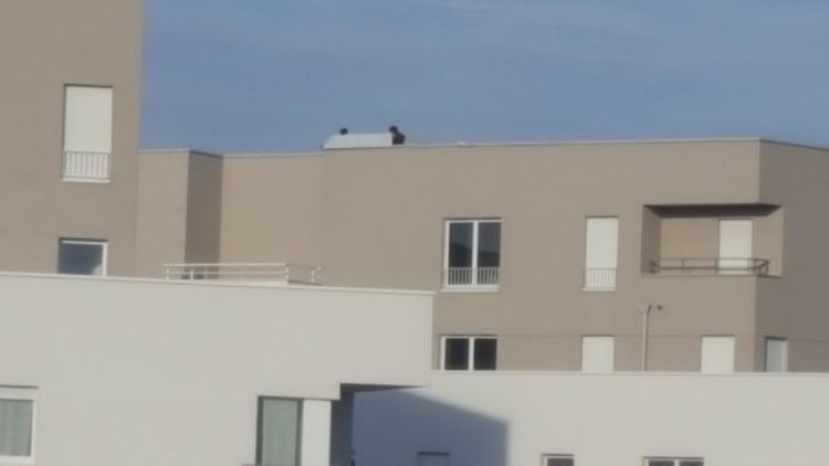 20161209_104924.jpg