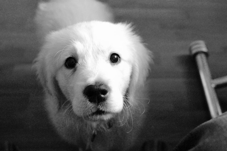 IMG_0300 (1).jpg
