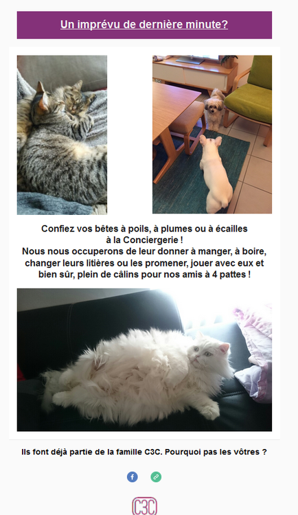 animaux.png