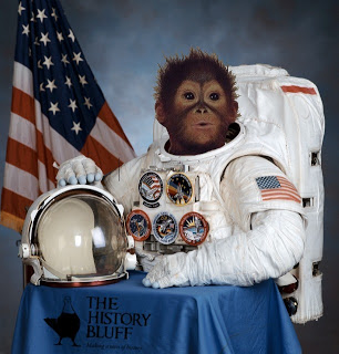 SpaceMonkey.jpg