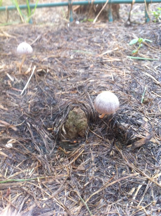 la nature a horreur du vide :)