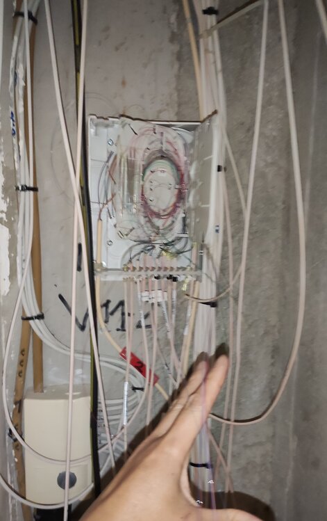 IMG_20200916_172720.jpg
