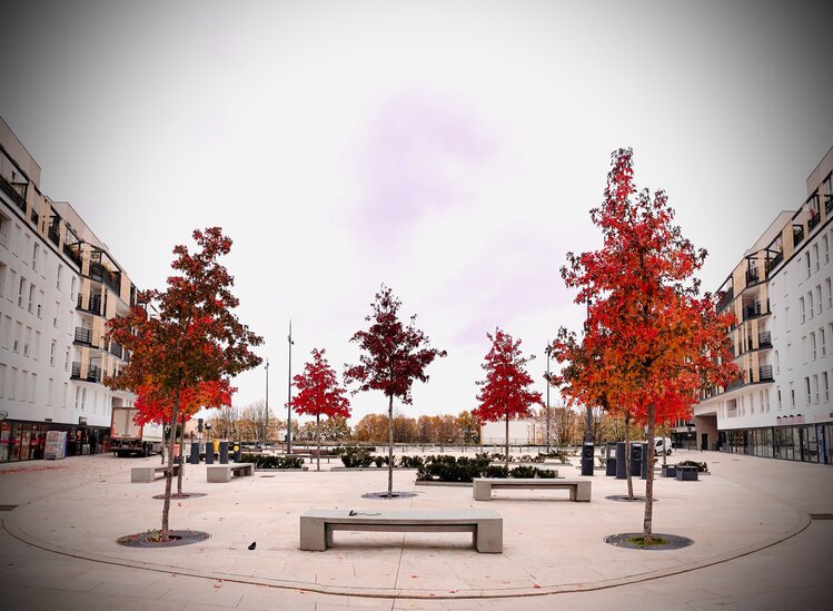 92FD64E0-90FD-40A5-808A-3F9494286AAD.jpeg (4.74 Mio) Consulté 2751 fois Photo de ce matin, couleurs d’automne