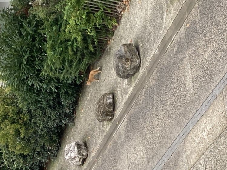 IMG_6958.jpeg