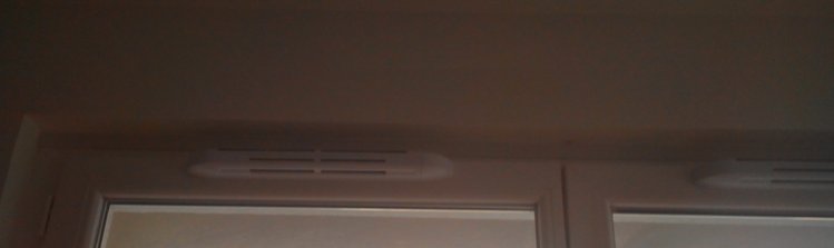 IMG_20140401_073756.jpg